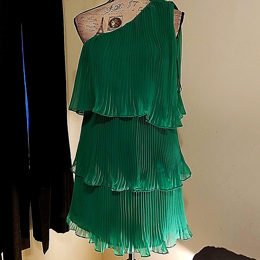 LAST CHANCE! DONATING TOMORROW! ZARA Ruffle One Shoulder Pleated Mini Dress